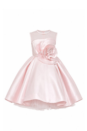 PINK CAMELLIA